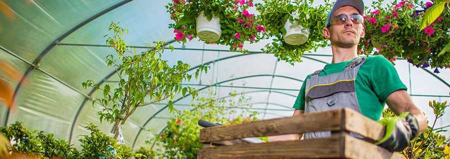 Комплексне озеленення