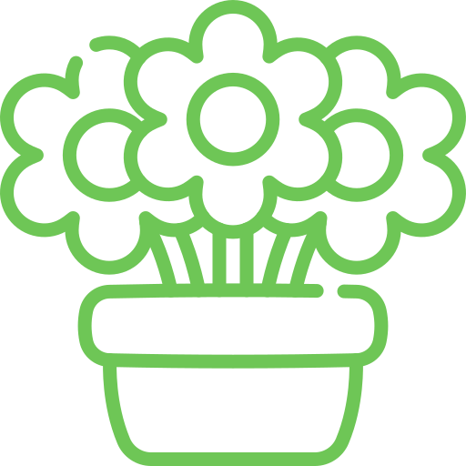 Квіти в горшку