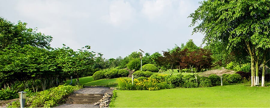 Ландшафтний дизайн