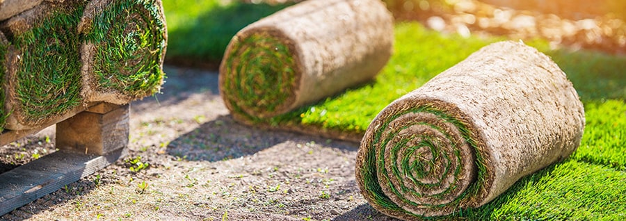 Укладання рулонного газону